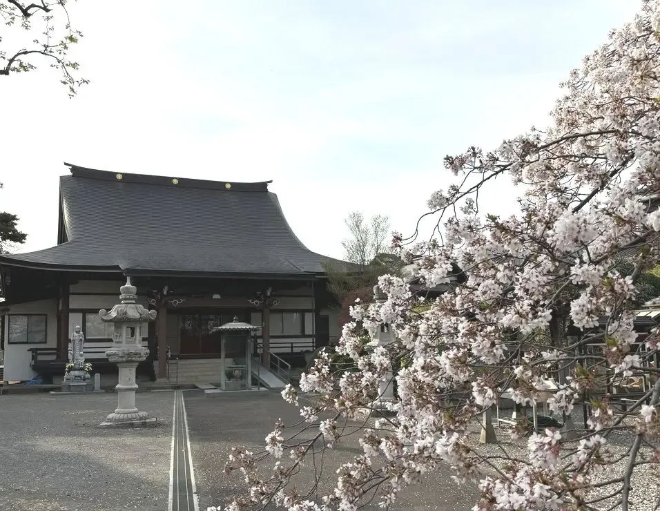 地名探訪の様子の写真